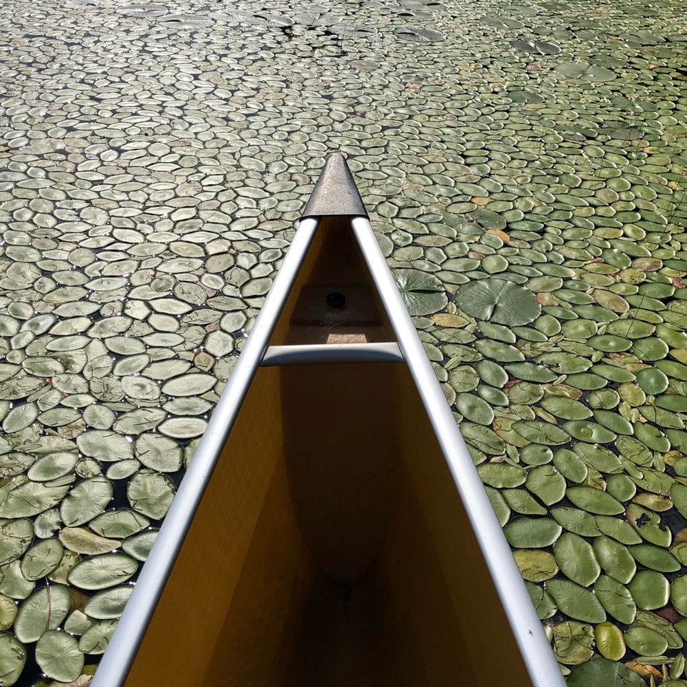 Meet your Posher, Audrey